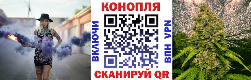 Купить закладки  Бородино  Конопля марихуана 